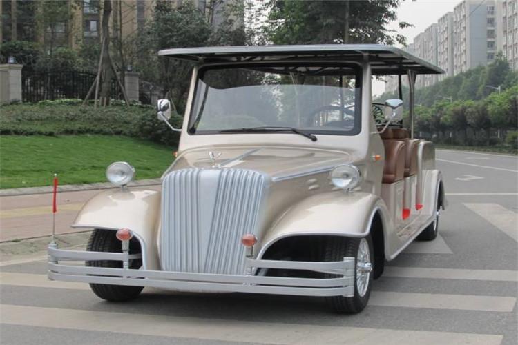 就電動(dòng)觀光車這種新能源電動(dòng)車輛而言，其動(dòng)力來源幾乎全靠車載的蓄電池組（即電瓶）